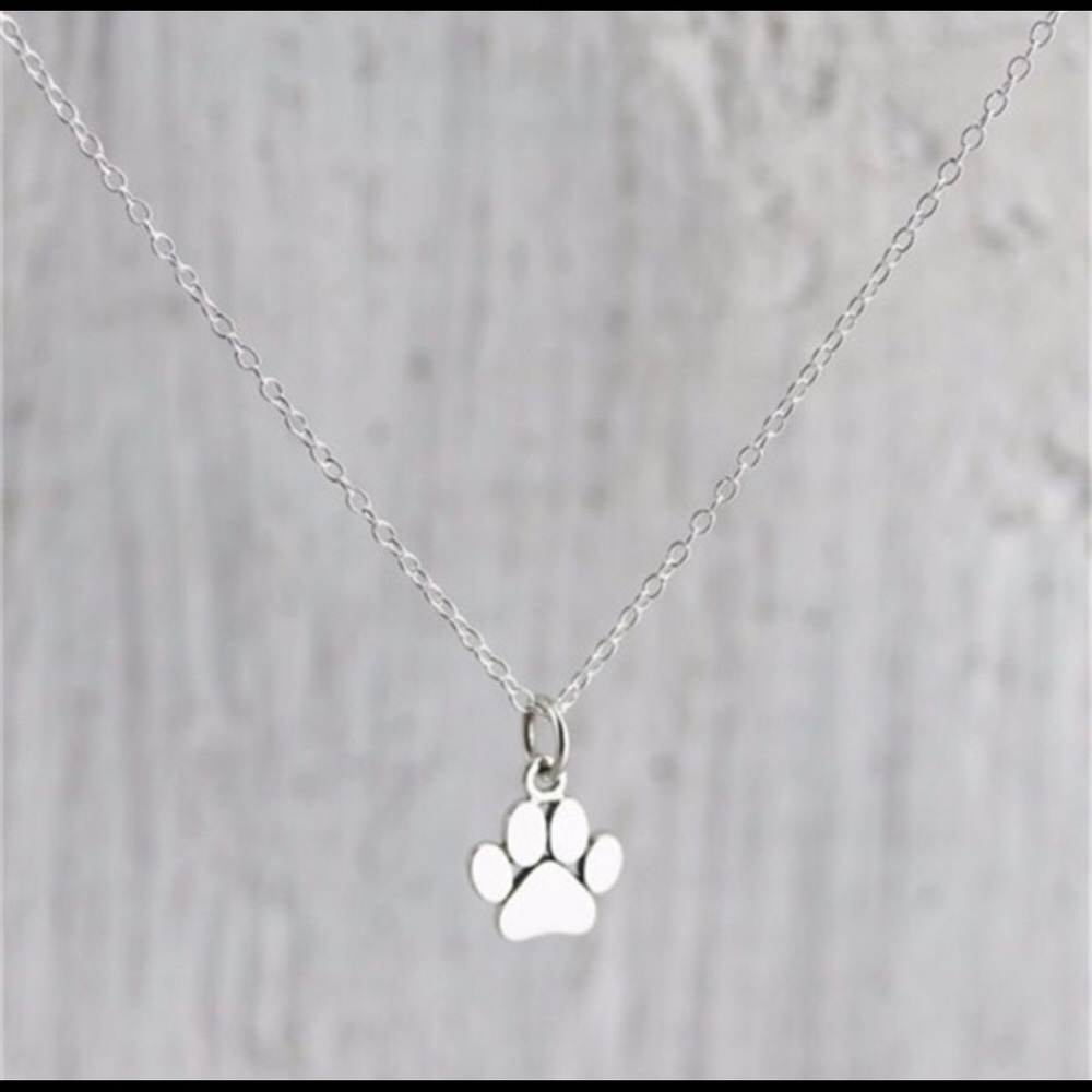 🐾  Paw Necklace silver  🐾